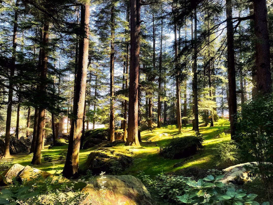 Manali Tour Packages 2026 Best Deals